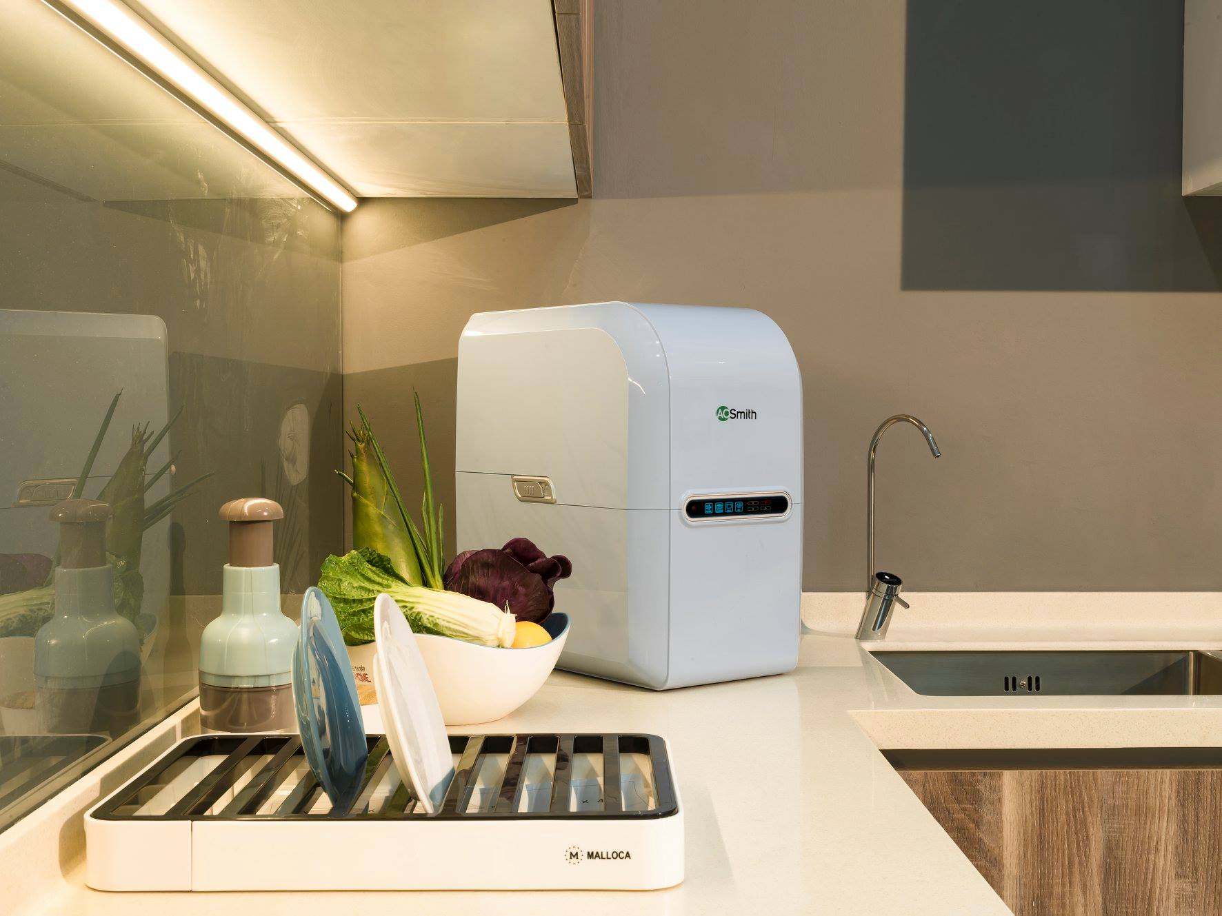 32703918 1716474458469788 2417132423671185408 o 1